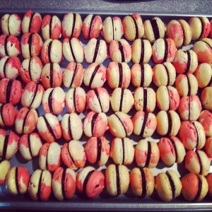 macaron bi-color