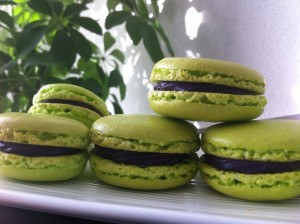 macaron myrtille