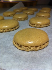 photo (2)