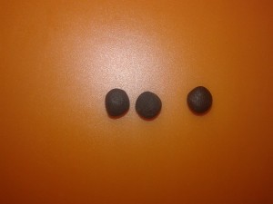 20151021_150306