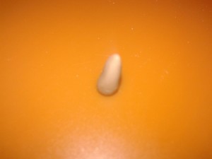 20151021_151304