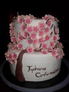 cake design cerisier chinois